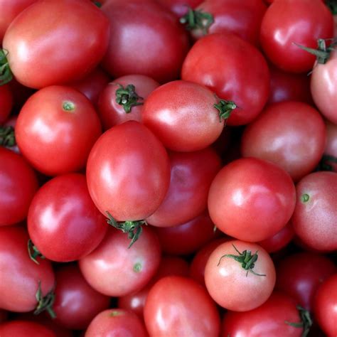 Tomato Thai Pink Egg Seeds The Seed Collection