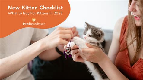 New Kitten Checklist What To Buy For Kittens In 2022 Pawlicy Advisor