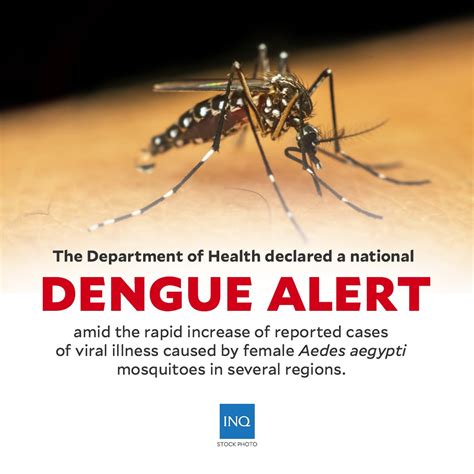 Dengue Epidemic In S Cotabato Declining In Ozamiz City Inquirer News