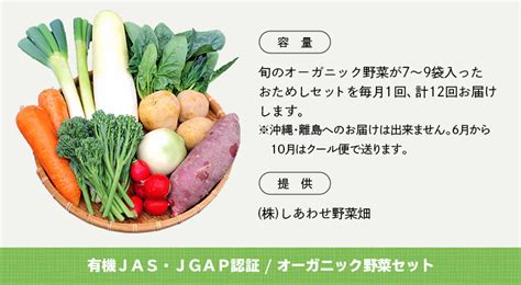 1586 野菜 オーガニック 野菜セット おためしⅯ 旬の有機野菜 7～9袋 毎月1回 計12回お届け 定期便 しあわせ野菜畑 静岡県掛川