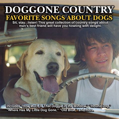 Do Dogs Have Favorite Songs