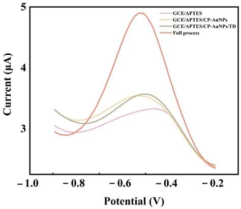 Sensors Free Full Text Electrochemical Dna Biosensors With Dual Signal Amplification