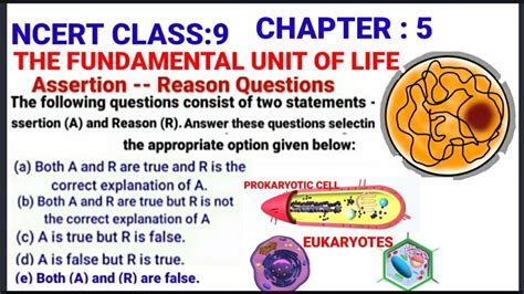 Assertion Reasoning Questions Ncert Class Science Chapter The