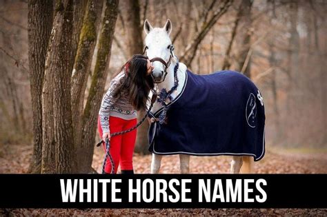 140+ White Horse Names (Unique and Creative Ideas)