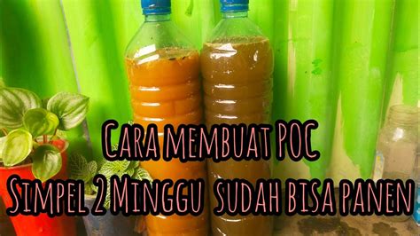 Cara Simpel Cepat Membuat Poc Dari Limbah Dapur Dan Berbagi Macam