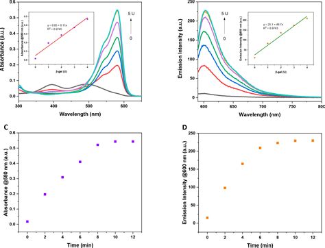 Locked and Loaded β Galactosidase Activated Photodynamic Therapy Agent