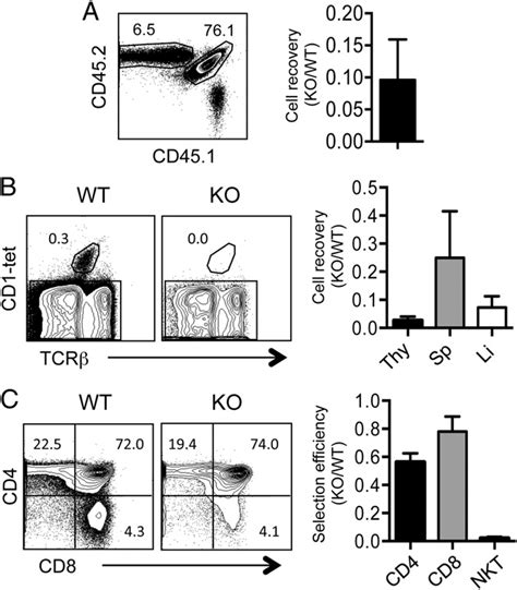 Cell Intrinsic Defect In The Development Of T Rictor Mice A