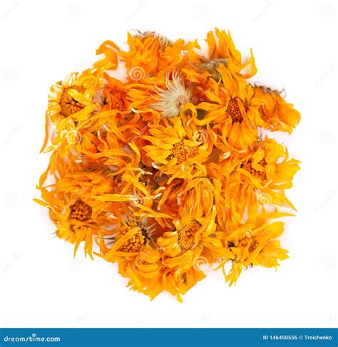 Dried Calendula Flowers Isolated On White Background Medicinal Herbs