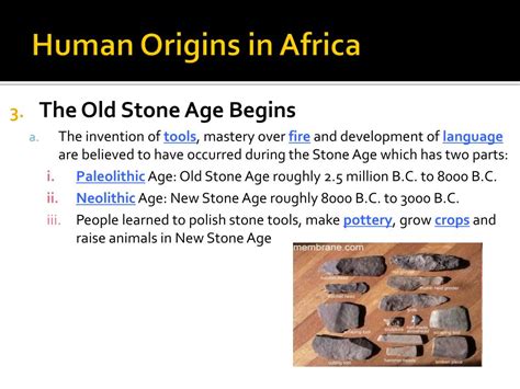 Ppt Outcome Human Origins In Africa Powerpoint Presentation Free
