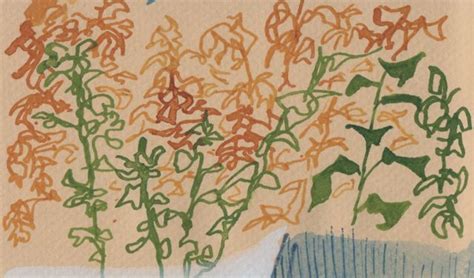 ukukuu3 | Mostly drawing