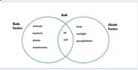 Biotic And Abiotic Factors Venn Diagram Hot Sex Picture