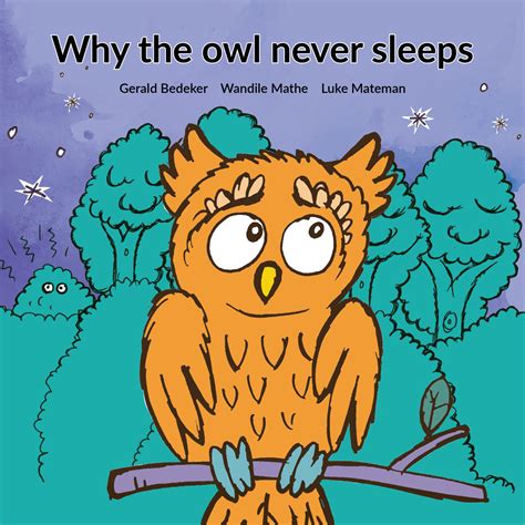 Why the owl never sleeps - Book Dash