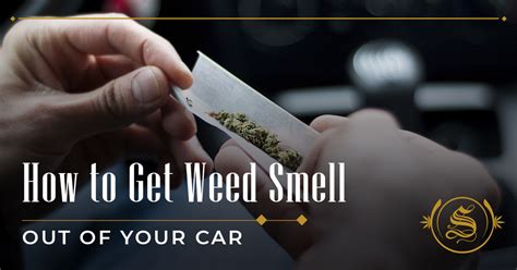 How To Get Weed Smell Out Of Car Tried Tested Tips The Sanctuary