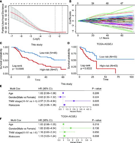 Construction And Validation Of The Cd T Cell Infiltration Related