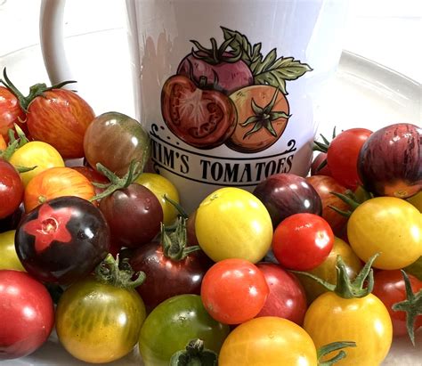 Heirloom Cherry Tomato Mix | Heirloom | Tim's Tomatoes