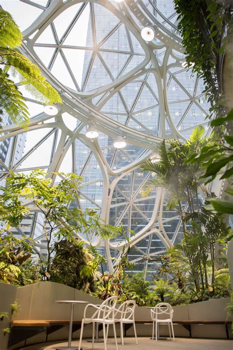 Inside the Amazon Spheres: The plants, the architecture, and a ...