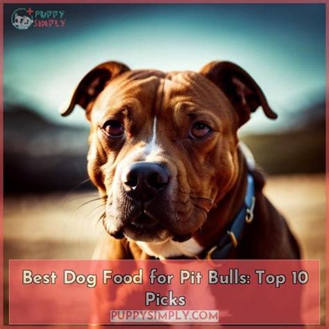 Best Dog Food for Pit Bulls: Top 10 Picks