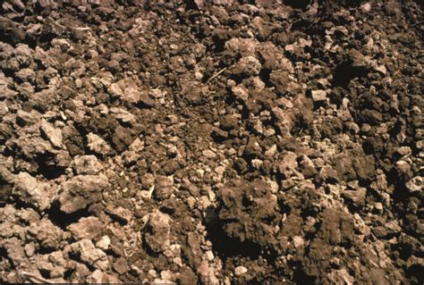 Ch 6 Soil Degradation Erosion Compaction And Contamination Sare