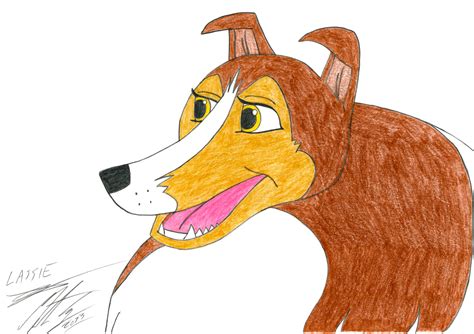 Lassie by MortenEng21 on deviantART