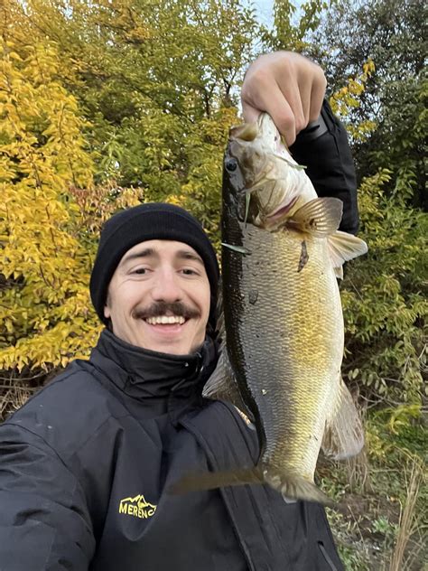 Personal Best Smallmouth In The Frost And Fog Rbassfishing