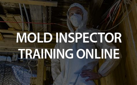 Mold Remediation Certification Guide For Mold Certification Online