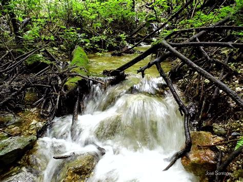 Conmemoran 85 años del Parque Nacional Benito Juárez Diario Marca