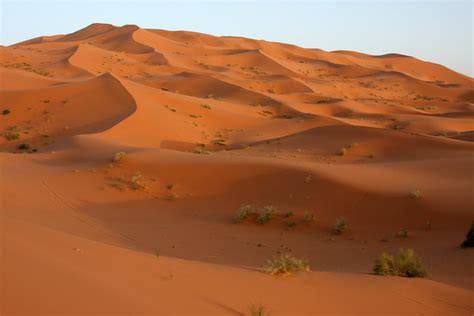 Sands Of The Desert Sand Dunes In Erg Chebbi On The Edge Flickr