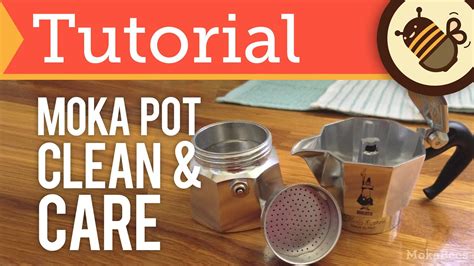 How To Clean Moka Pot Mold At Kathy Perry Blog