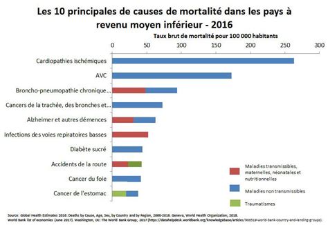 Les 10 Principales Causes De Mortalité