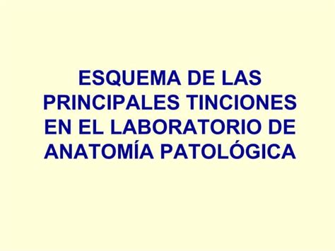 Principales Tinciones En El Laboratorio De Anatom A Patol Gica Ppt