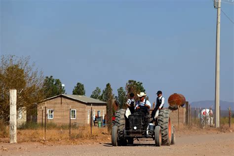 Menonitas Mexicanos Se Enteraron De La Pandemia A Través De Una Rara