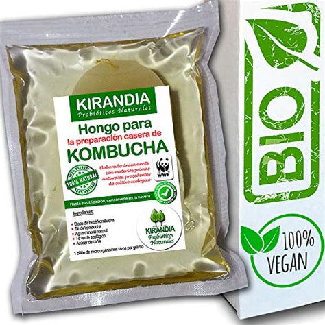 Cómo elegir la mejor Kombucha Casacochecurro