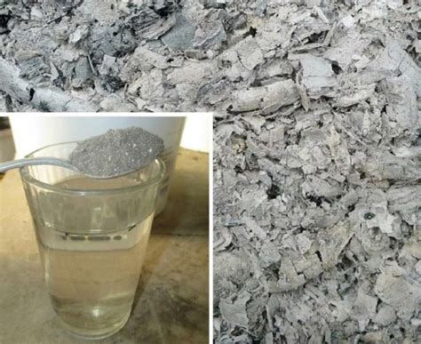 ЗОЛА И УКСУС ДЛЯ ОБИЛЬНОГО УРОЖАЯ ОГУРЦОВ 勒