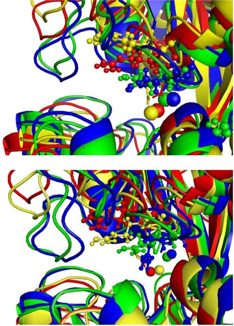 Superposition Of Representative Snapshots Of The Molecular Dynamics