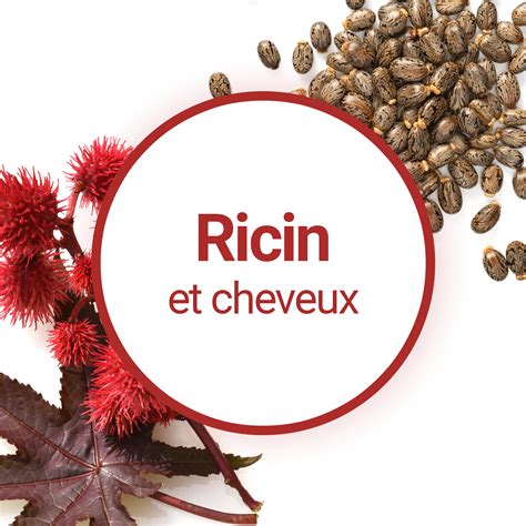 Guide D Utilisation De L Huile De Ricin Pour Vos Cheveux