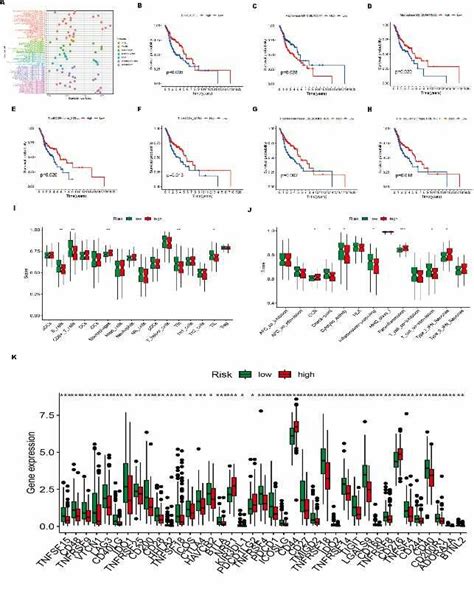 Exploration Of The Immune Cell Infiltration Landscape In Hnscc