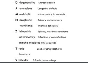 Neuro Emergencies Flashcards Quizlet