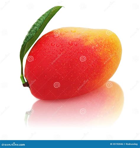 Fresh Ripe Mango Fruit With Green Leaves Isolated On White Background