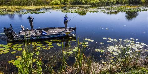 Harris Chain of Lakes Fishing Guide