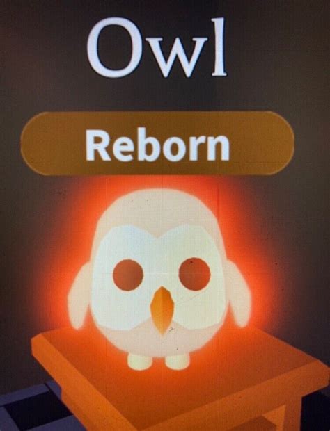 The Best 20 Adopt Me Neon Owl Bimakawasuab