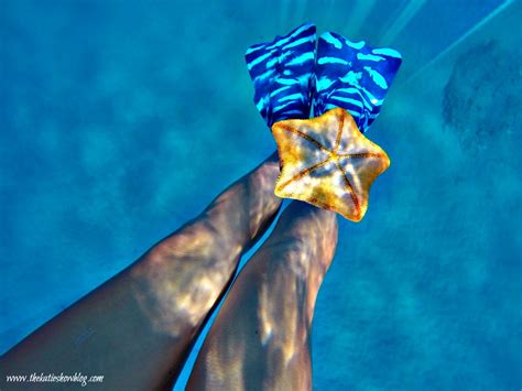 Snorkeling Tips And Tricks For Beginners