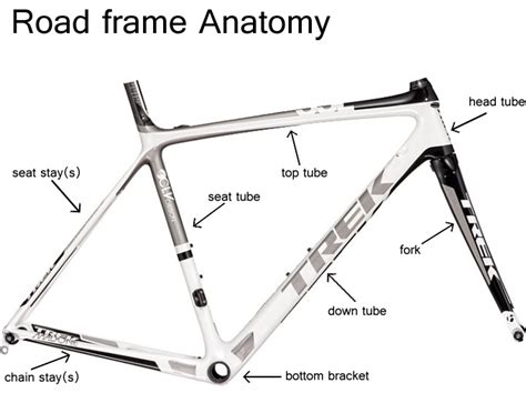 Basic Bicycle Anatomy 101 - Frame - South Carolina Bike Shop ...