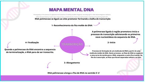 Mapa Mental Transcri O Dna Biologia Molecular