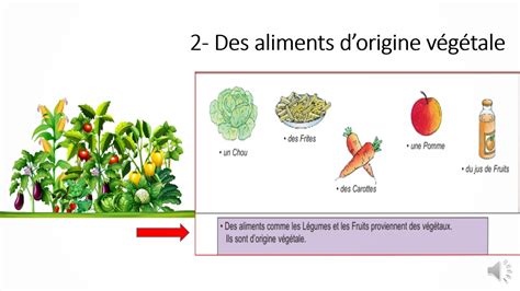 D où proviennent les aliments Classe de Eb4 YouTube