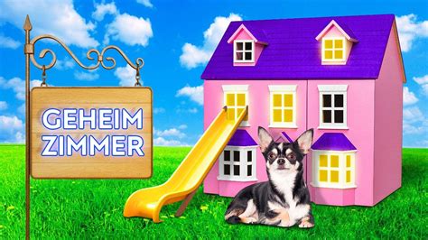 Geheimzimmer F R Meinen Hund Gadgets Und Hacks F R Haustierbesitzer