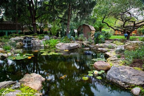 Tips To Maintaining An Eco Pond Aqualivin