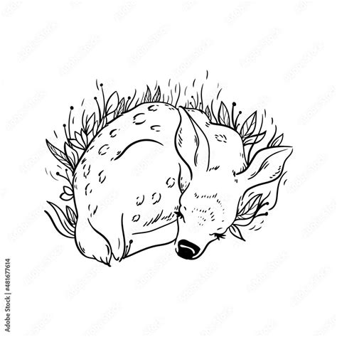 vector illustration deer line animal sleeping Stock Vector | Adobe Stock