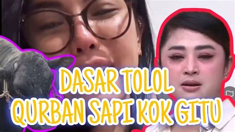 Terbongkarnikita Mirzani Buka An Soal Sapi Qurban Dewi Persik Youtube