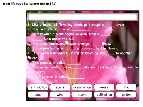 Plant Life Cycle Calculator Testing 1 Teaching Resources