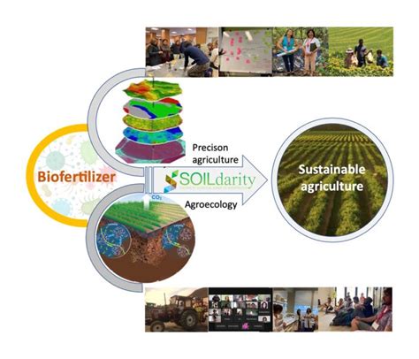 Integrating Biofertilizers And Precision Agriculture